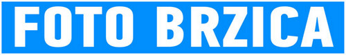 Brzica